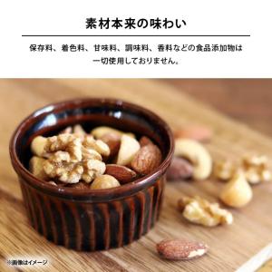 ミックスナッツ 550g 無添加 無塩 無油 ...の詳細画像5