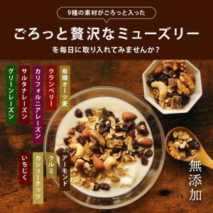 シリアル 無添加 まるごとナッツ ミューズリー...の詳細画像2