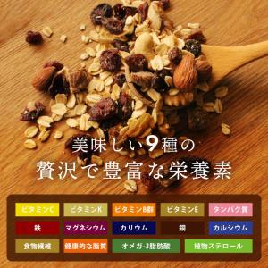シリアル 無添加 まるごとナッツ ミューズリー...の詳細画像4