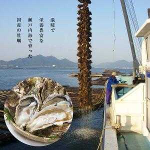 オイスターソース 無添加 計450g 150g...の詳細画像5