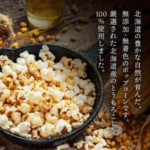 ホクレン 無添加 北海道ポップコーン 豆 60...の詳細画像2