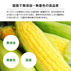ホクレン 無添加 北海道ポップコーン 豆 60...の詳細画像3