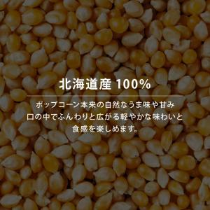 ホクレン 無添加 北海道ポップコーン 豆 60...の詳細画像4