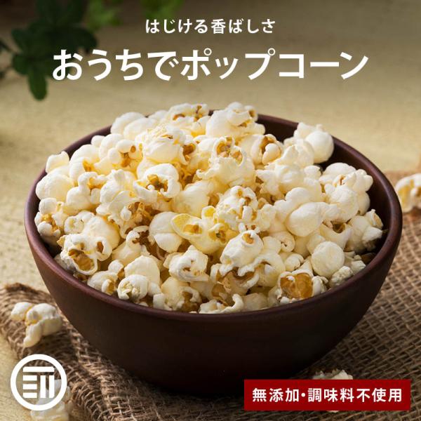 ポップコーン 豆 900g 前田家 とうもろこし コーン 海外菓子 スナック菓子 映画のお供