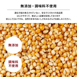 ポップコーン 豆 900g 前田家 とうもろこ...の詳細画像3