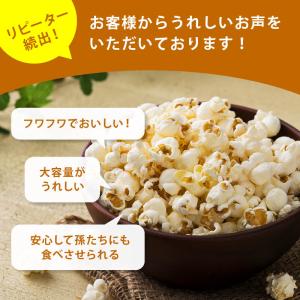 ポップコーン 豆 900g 前田家 とうもろこ...の詳細画像4