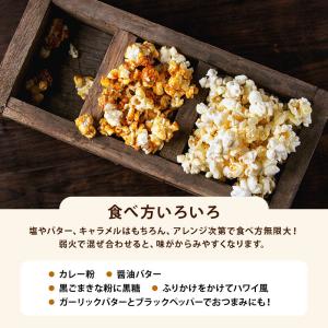 ポップコーン 豆 900g 前田家 とうもろこ...の詳細画像5