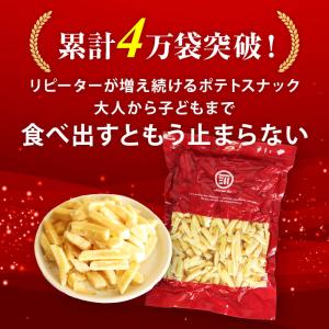 フライドポテトスナック 訳あり 前田家 うす塩...の詳細画像1