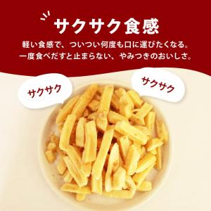 フライドポテトスナック 訳あり 前田家 うす塩...の詳細画像3