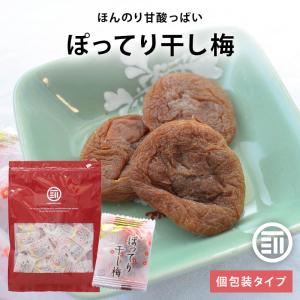 梅干 ぽってり干し梅 種なし 160g 干し梅 個包装 しっとり柔らか お茶うけ おやつ 現場 作業 夏バテ防止 熱中症 補給 大容量 業務用 前田家