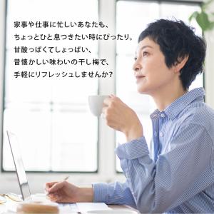 梅干 ぽってり干し梅 種なし 160g 干し梅...の詳細画像2