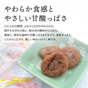梅干 ぽってり干し梅 種なし 160g 干し梅...の詳細画像3