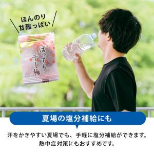 梅干 ぽってり干し梅 種なし 160g 干し梅...の詳細画像4