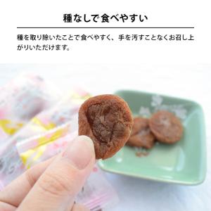 梅干 ぽってり干し梅 種なし 160g 干し梅...の詳細画像5