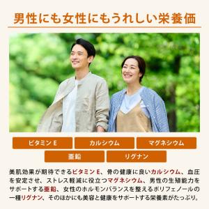 かぼちゃの種 素焼き 前田家 無添加 ロースト...の詳細画像3