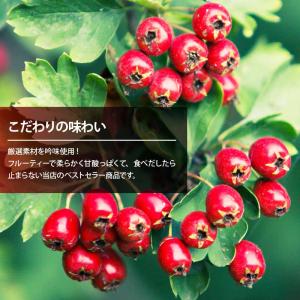 サンザシ ドライフルーツ 前田家 無添加 75...の詳細画像4