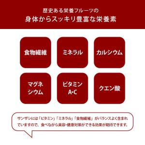 サンザシ ドライフルーツ 前田家 無添加 75...の詳細画像5