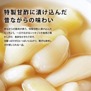 漬物 無添加 らっきょう 甘酢 計300g 1...の詳細画像3