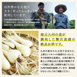 漬物 無添加 らっきょう 甘酢 計300g 1...の詳細画像4