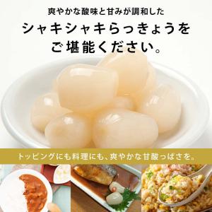漬物 無添加 らっきょう 甘酢 計300g 1...の詳細画像5