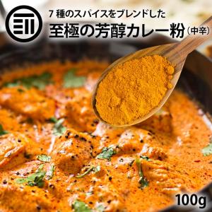 至極の芳醇 カレー粉 100g×1袋 カレーパウダー 粉末