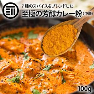 前田家 至極の芳醇 カレー粉 粉末 100g 1袋 カレーパウダー スパイス コリアンダー ターメリック クミン 黒こしょう 赤唐辛子 カルダモン ミックススパイスの商品画像