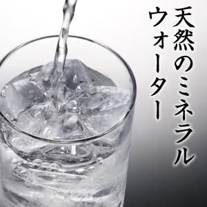 消臭 竹炭 12枚入 日本製 最高級 匠の技 ...の詳細画像3