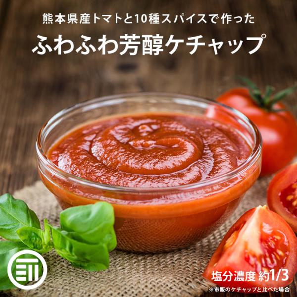 トマト ケチャップ 180g 前田家 無添加 パウチ 減塩 保存料不使用 熊本県産 国産 甘味 スパ...