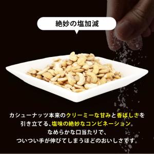 カシューナッツ 塩味 180g 訳あり 前田家...の詳細画像4