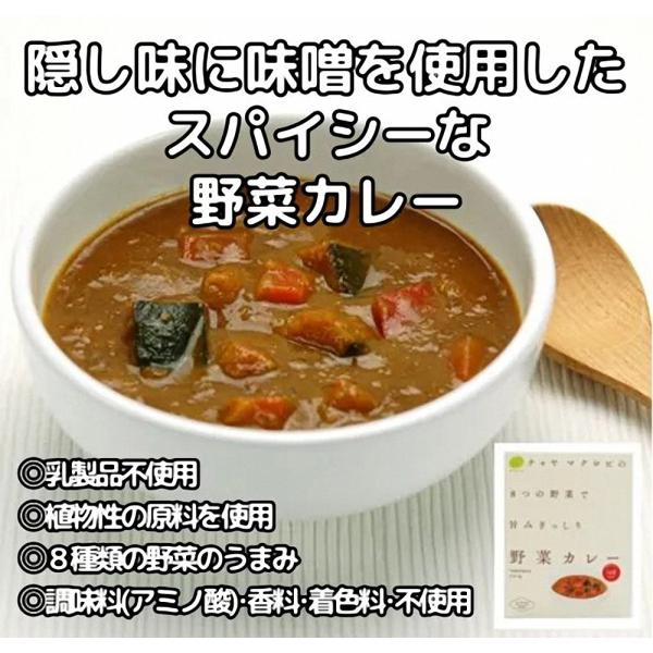 8つの野菜で旨みぎっしり スパイシー 野菜カレー 3食セット チャヤマクロビオティックス　有機野菜 ...