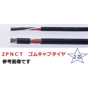 即日発送 2PNCT 2SQ×2芯 ゴムキャブ...の詳細画像1