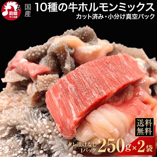 牛タン入り！タレ漬け無し 国産 10種の牛ミックスホルモン[500g](冷凍) ミックスホルモン 希...