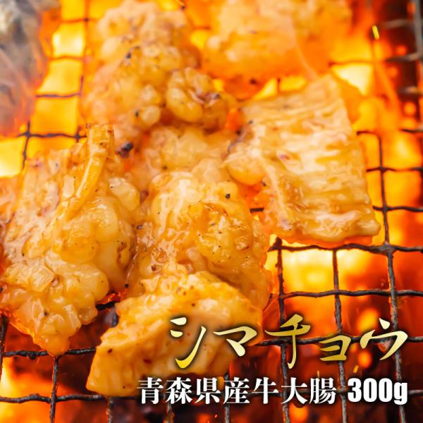 青森県産牛シマチョウ(大腸)[300g](冷凍) 牛ホルモン 牛テッチャン てっちゃん しまちょう ...