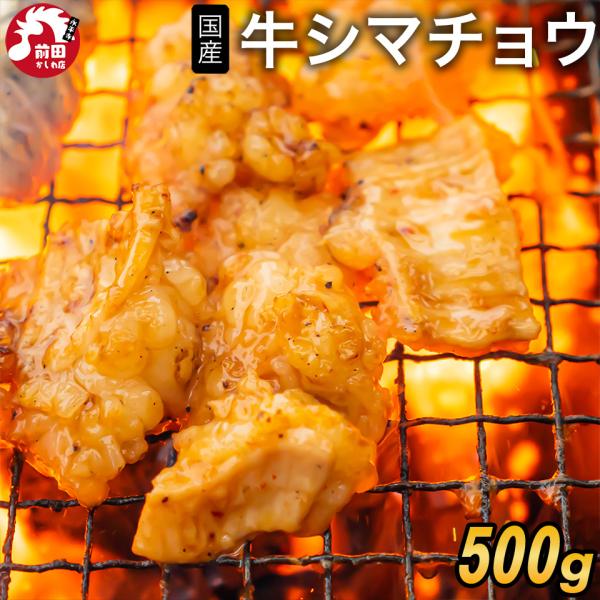 青森県産牛シマチョウ(大腸)[500g](冷凍) 牛ホルモン 牛テッチャン てっちゃん しまちょう ...