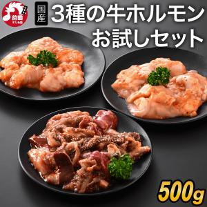 【7月25日以降の出荷】特製タレ漬け 国産牛ホルモン3種お試しセット(シマチョウ・ぷるぷるホルモン・ミックスホルモン) 500g 冷凍　食べ比べ お徳用 大容量 焼肉