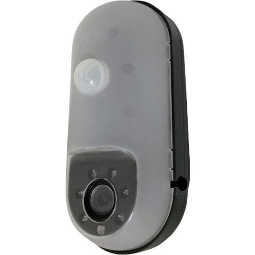 リーベックス SDカード録画式センサーカメラ SD1000