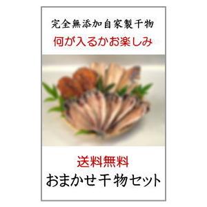 何が届くかお楽しみ 送料無料 店長おまかせ完全無添加自家製干物セット １キロ保証 Cm 0002 東伊豆伊東港 卸問屋 丸美 通販 Yahoo ショッピング
