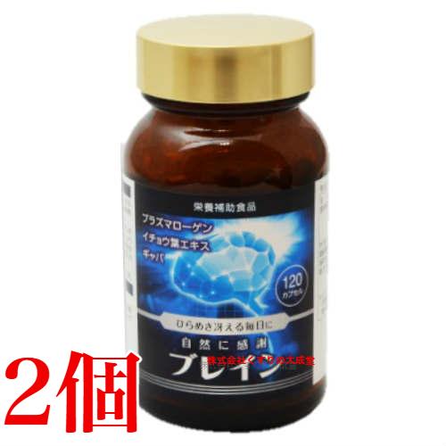 自然に感謝 ブレイン 120カプセル 2個 ジャパンメディック
