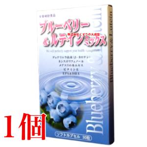 ブルーベリー＆ルテインミックス 1個 富山スカイ 