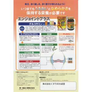 エンジョイント プラス 150粒 24個 第一...の詳細画像3