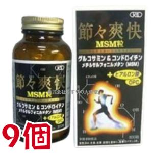 節々爽快MSM粒 9個 日本ケミスト 節々爽快 ふしぶしそうかい｜maganuma-shop