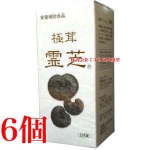 ごくじょうれいし 極茸霊芝 540粒 6個 正洸堂
