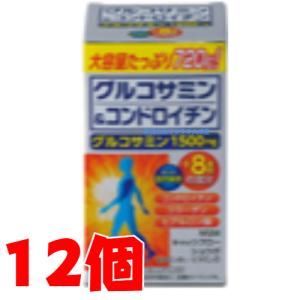 グルコサミン＆コンドロイチン 720粒 12個 大協薬品｜maganuma-shop