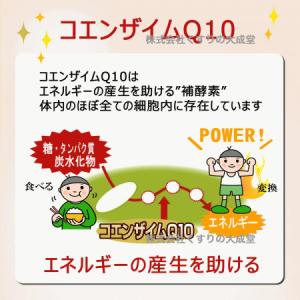 還元型ヘルツQ10 200粒 5個 ユニテック...の詳細画像2