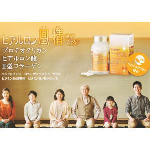 ヒアルロン凰精エクセレント 120カプセル 1...の詳細画像1