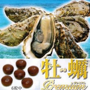牡蠣プレミアム 550粒 3個 誠心製薬 牡蠣エキスの詳細画像3