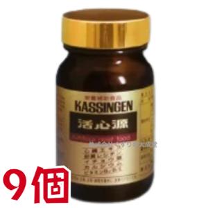 活心源 110粒 9個 日本ケミスト かっしんげん｜maganuma-shop