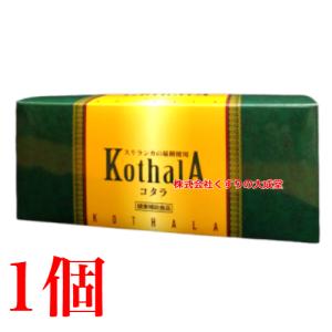 中京医薬品 Hi DHA トゥデイ75 120カプセル DHA含有精製魚油加工食品