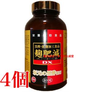 常盤薬品工業 健康くろず 2本 商品の期限2027年6月 うすめ容器なし 旧