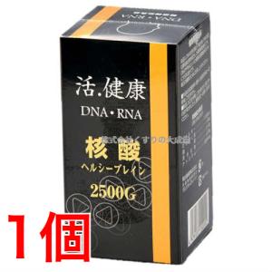 核酸ヘルシーブレイン 2500G 1個 明治製薬｜maganuma-shop